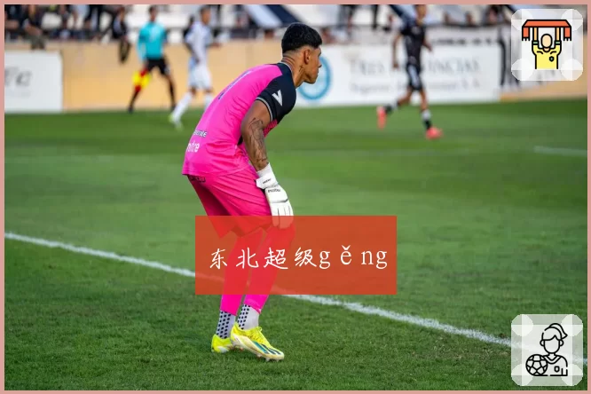 东北超级gěng