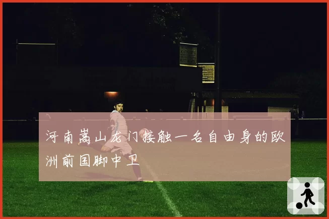 河南嵩山龙门接触一名自由身的欧洲前国脚中卫