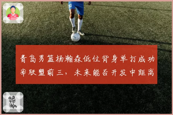 青岛男篮杨瀚森低位背身单打成功率联盟前三，未来能否开发中距离？
